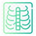 Rayos X Esqueleto Tomografia Icon