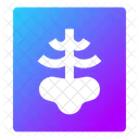 Radiografia Icon