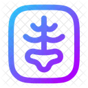 Radiografia Icon