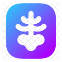 Rayos X Medico Hospital Icon