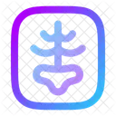 Radiografia Icon