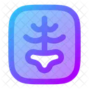 Radiografia Icon