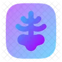 Radiografia Icon
