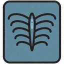 Hospital Medico Radiografia Icono