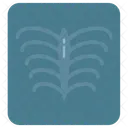 Hospital Medico Radiografia Icono