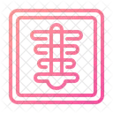 Radiografía  Icono