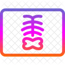 Rayos X Radiologia Rayos X Icono