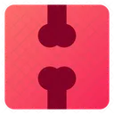 Radiografia Icon