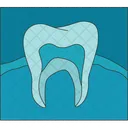 Radiografia Diente Dental Icono