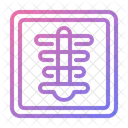 Radiografia Icon