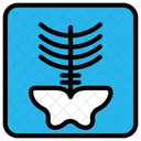 Radiografia Icono