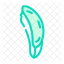 Rebanada Aloe Vera Icon