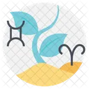 Zodiac Signs Stars Icon