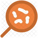 Recherche Bacteries Virus Icon