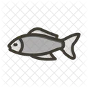 Pescado Japon Animal Icono
