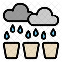 Agua De Lluvia En Las Cosechas Icon