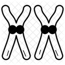 Recombinant Dna Microorganisms Bioengineering Icon