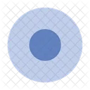 Record circle  Icon