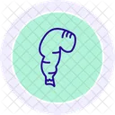 Rectum Line Icon Icon