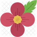 Recuerdo Dia De Conmemoracion Culturas Icono