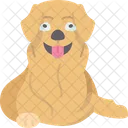 Recuperador  Ícone