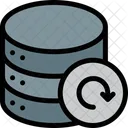 Recycle Database Recycle Ecology Icon