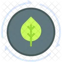 Recycle Sustainability Care Icon