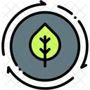 Recycle Sustainability Care Icon