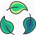 Recycle Leaf  Icon