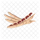 Red Bean Nut Seed Icon