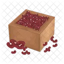 Red Bean Nut Seed Icon