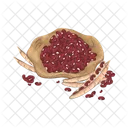Kidney Bean Red Bean Nut Icon