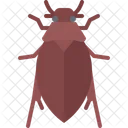 Red Beetle Beetle Bug Symbol