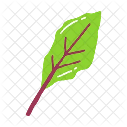 Red beets leaf  Icon