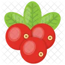 Red Berries Raspberry Icon
