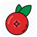 Red Berry Fruit Healthy Icon