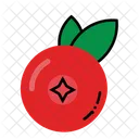 Red Berry  Icon