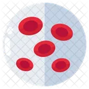 Red Blood Cells Rbcs Red Corpuscle Icon