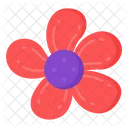 Red buttercup  Icon