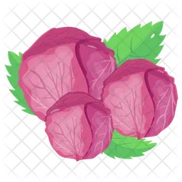 Red Cabbage  Icon