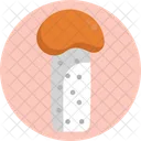 Mushrooms Red Capped Mushroom Mushroom Icon