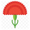 Red Carnation Flower Nature Icon