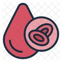 Red Cells Blood Cells Icon