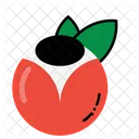 Red Cherry  Icon
