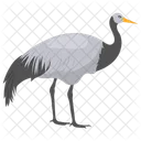 Red Crowned Crane Crowned Animal Icon