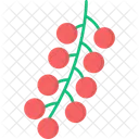 Red Currant Icon