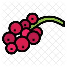 Red Currant  Icon
