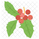 Red Currant Gooseberry Currant Fruit Icon