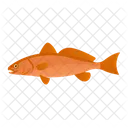 Red Drum  Icon