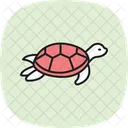 Red Eared Slider Redearedslider Reptile Icon